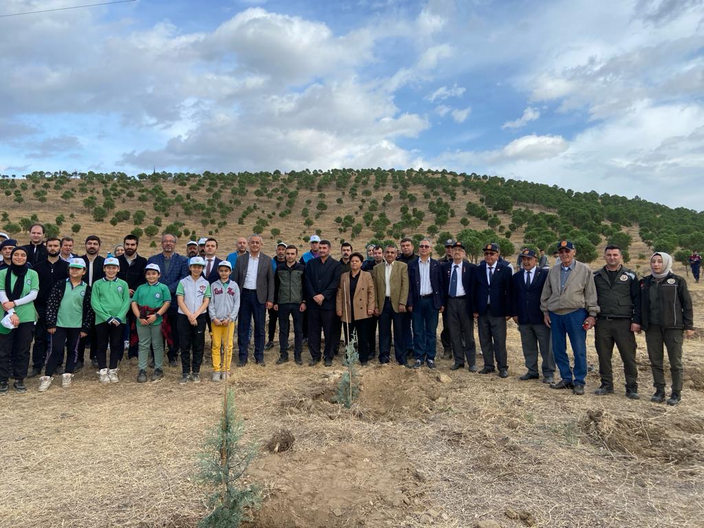 Kaymakam GÜNGÖR, Ağaç Dikim Etkinliğine Katıldı.